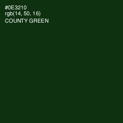#0E3210 - County Green Color Image